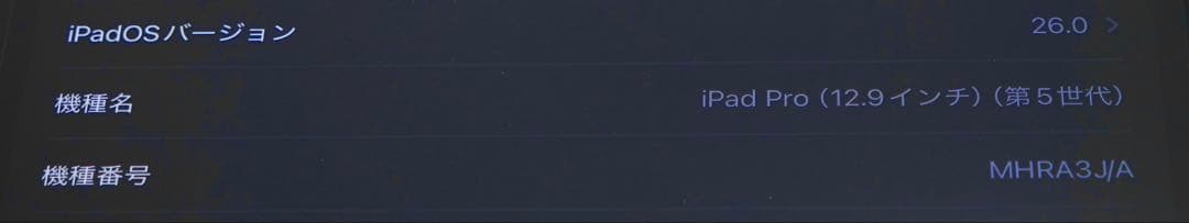 iPad Pro 第5世代 1TB Wi-Fi+Cellular