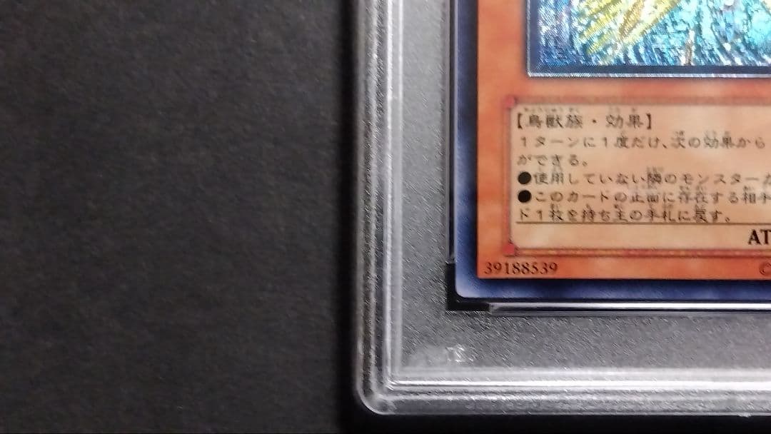 ゲ*離様 【PSA10】「ストーム・シューター」CDIP レリーフ