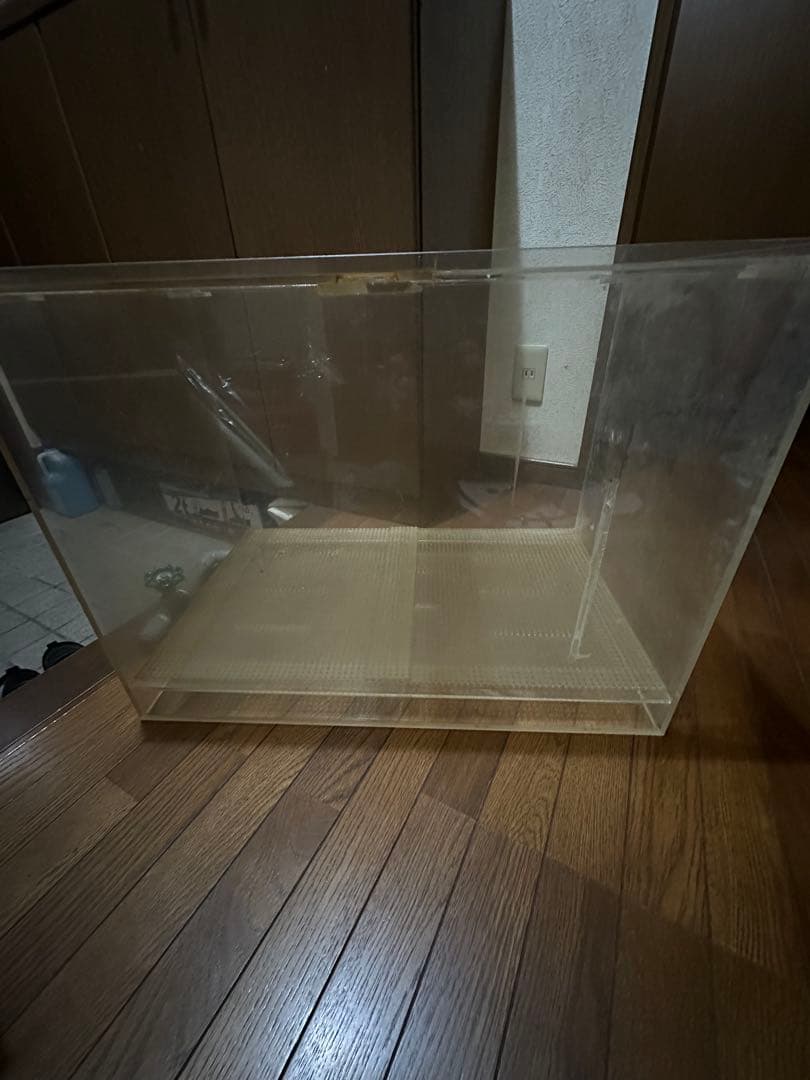 引き取り、90センチ、オーバーフローセット水槽です‼️
