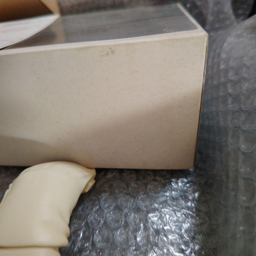 超時空要塞マクロス　早瀬未沙　ガレージキット　未組立