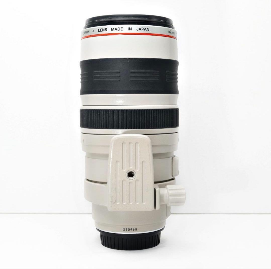 超望遠✨Canon EF 100-400mm L IS USM✨元箱・ケース付き