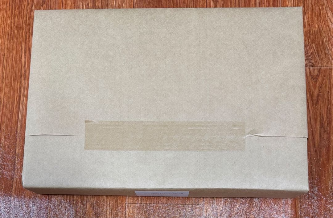 天野喜孝　サイン入り　天使のたまご イメージボード集