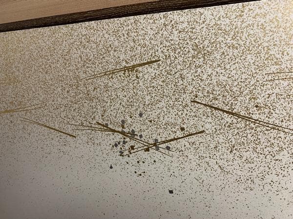 杉材 割菱透し 独楽繋ぎ紋 裏金砂子 松葉紋 女桑縁 風炉先屏風 茶道具 461