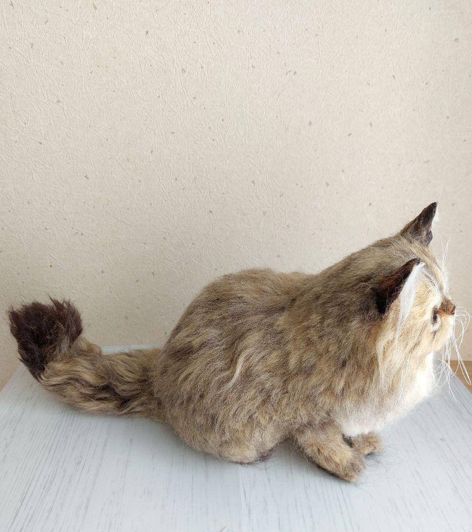 羊毛フェルト　猫(チンチラゴールデン)