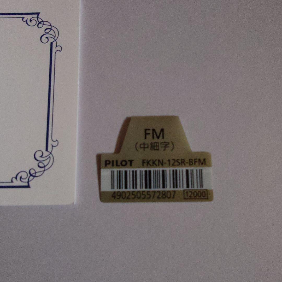 PILOT万年筆 カスタム74 FM中細字