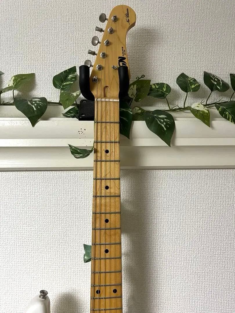 FUJIGEN(FGN) NST11MAH-WB フジゲン 富士弦