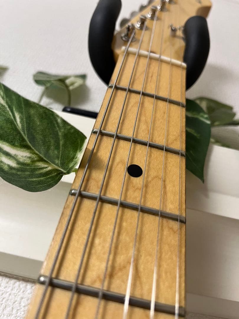 FUJIGEN(FGN) NST11MAH-WB フジゲン 富士弦