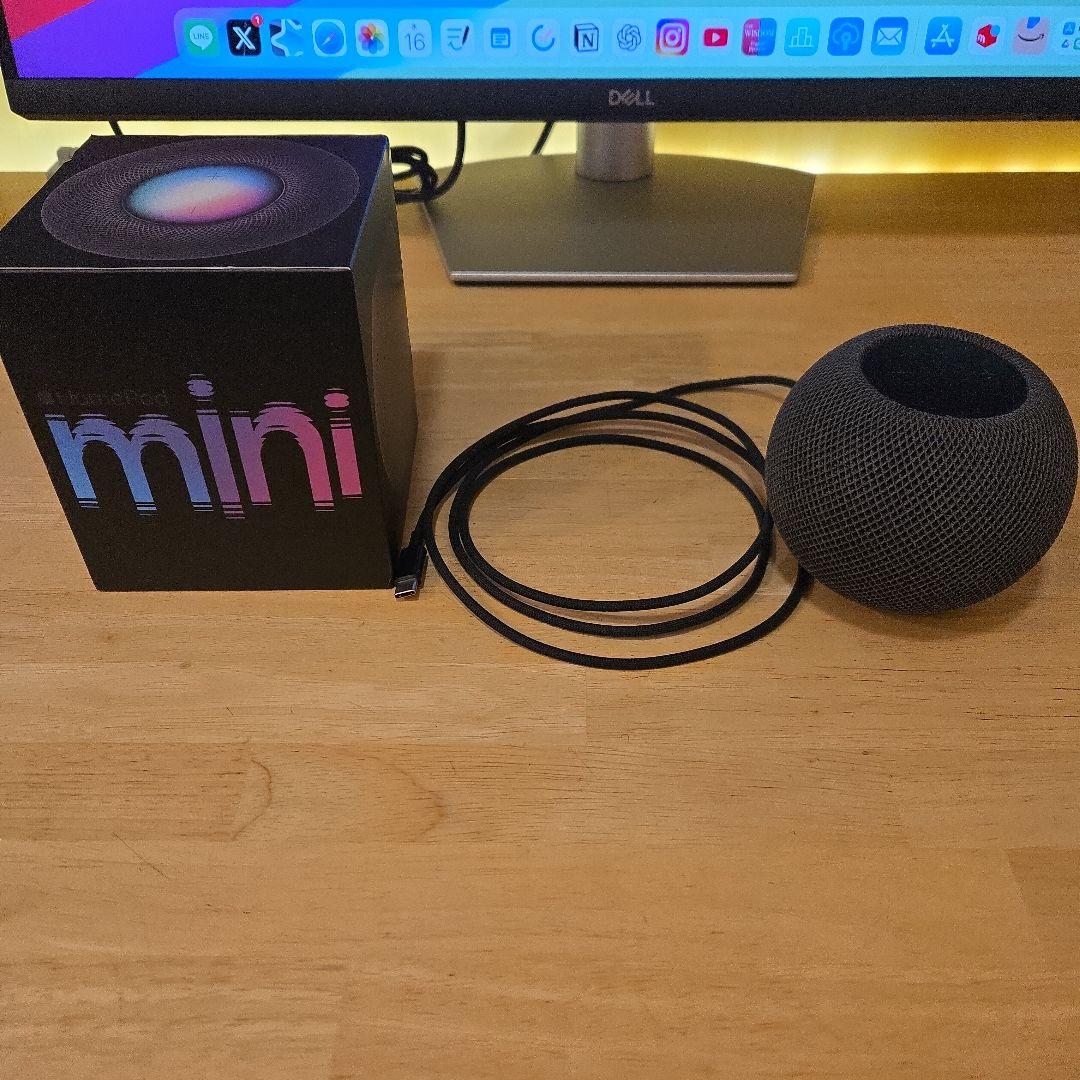 Apple Pod mini スペースグレー 箱付き