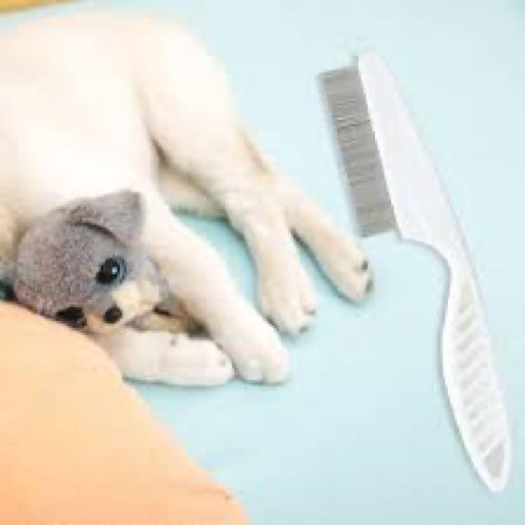 ペット用ノミ取りコーム ホワイト 16個