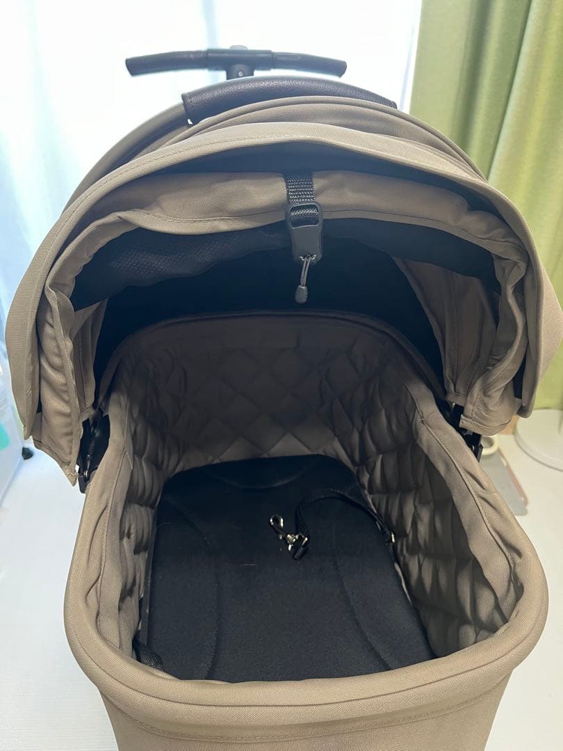 小型犬2匹入れる！AIRBUGGY PET FITT WIZ・レインカバー付