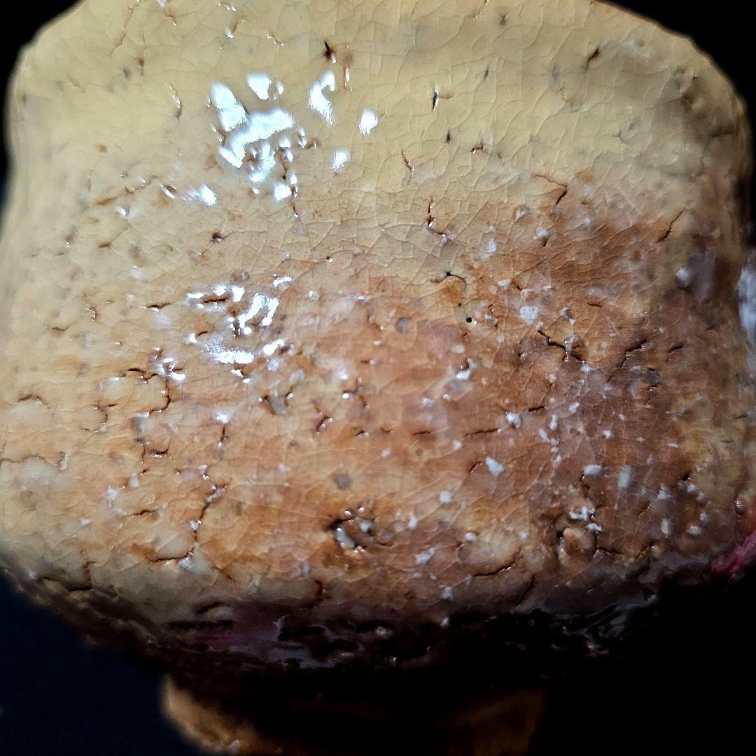 ご購入者様ご確認用　萩焼　天鵬山造　茶碗