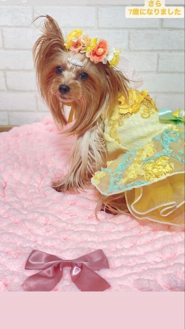 レース付カフェマット  お昼寝マット ペットマット　オーダー承ります