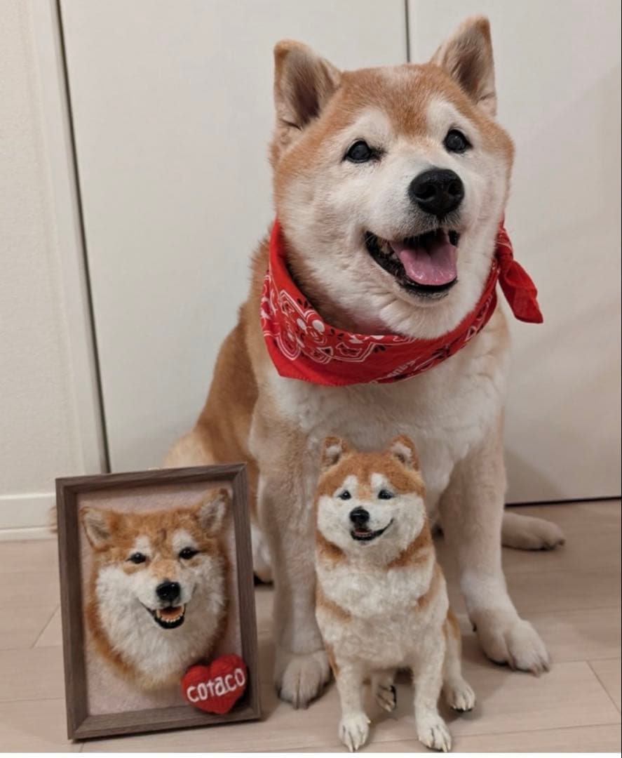 p*o様 わたわたペット　わんこ限定　分身の術　中サイズ　(20センチ程)羊毛フ