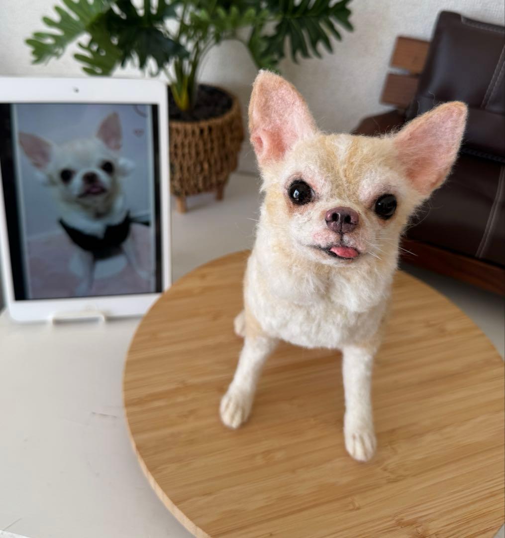 p*o様 わたわたペット　わんこ限定　分身の術　中サイズ　(20センチ程)羊毛フ