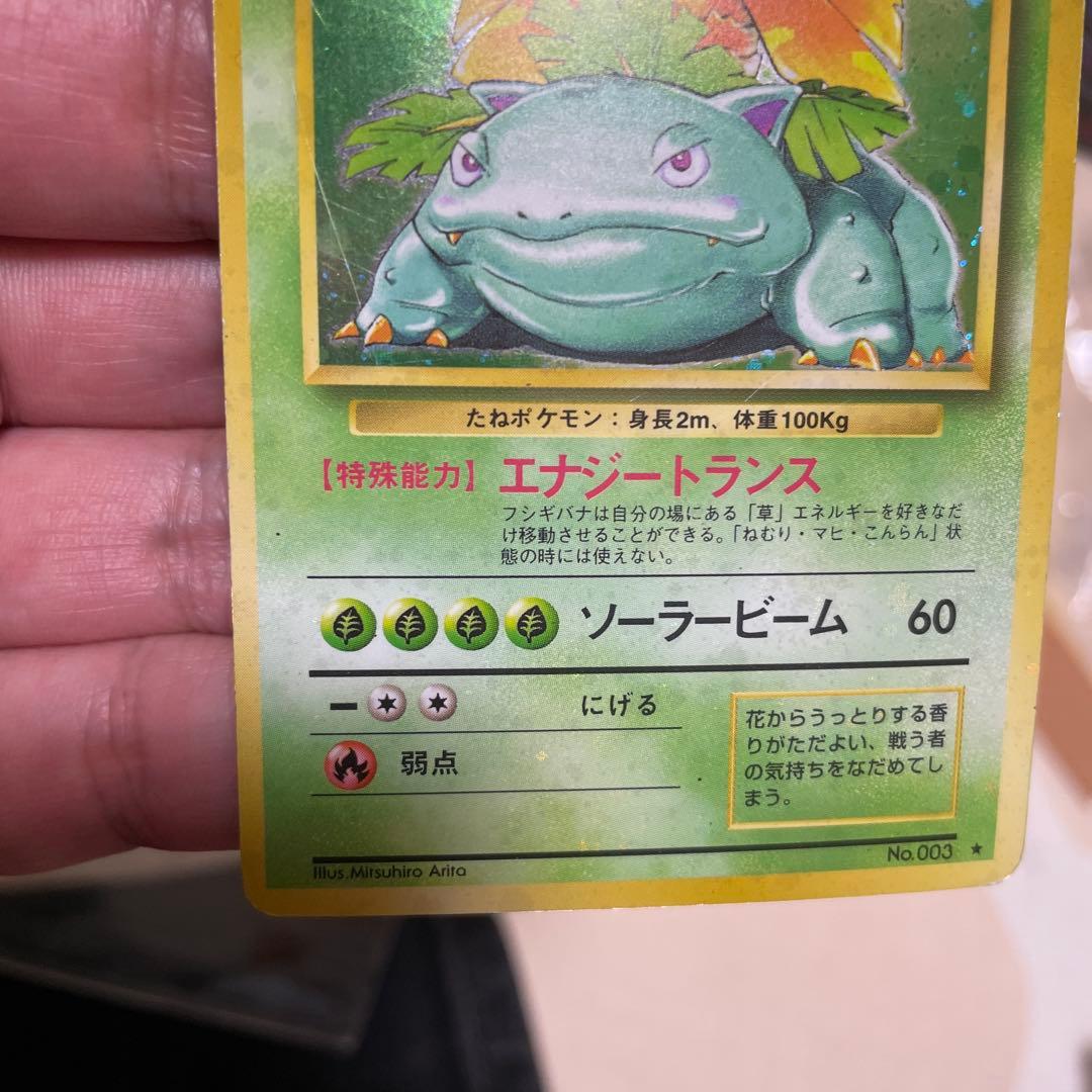 フシギバナ　旧裏　全面ホロ