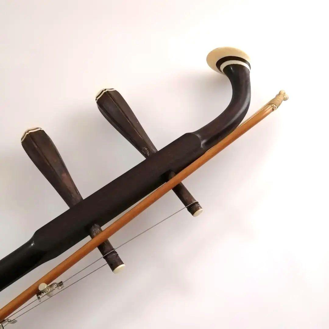 二胡　中国弦楽器　民族楽器　蛇革　ソフトケース付