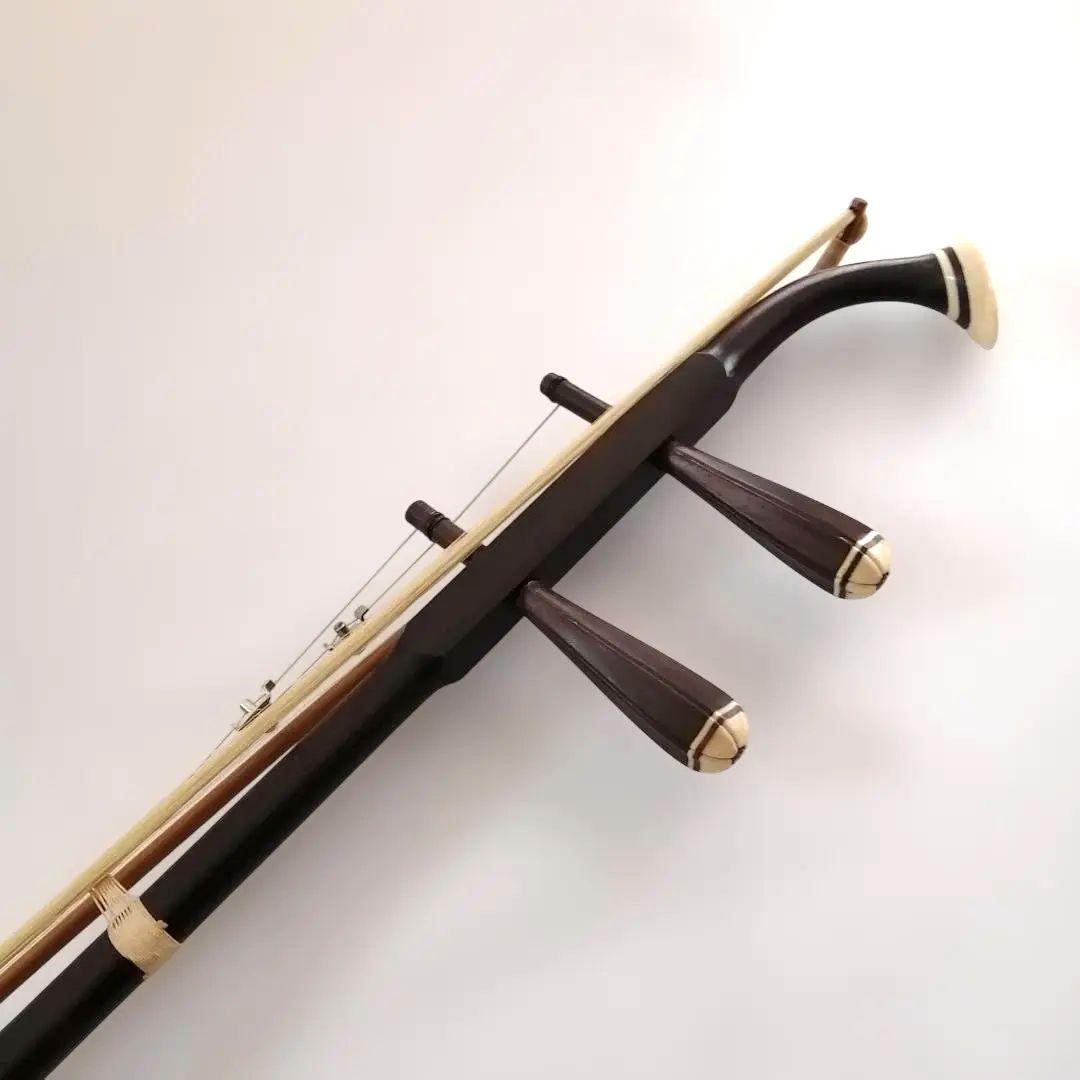 二胡　中国弦楽器　民族楽器　蛇革　ソフトケース付