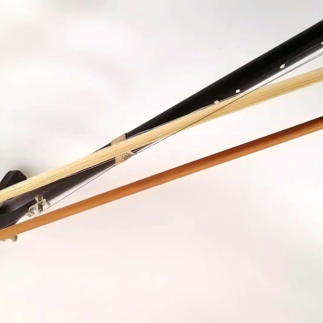 二胡　中国弦楽器　民族楽器　蛇革　ソフトケース付