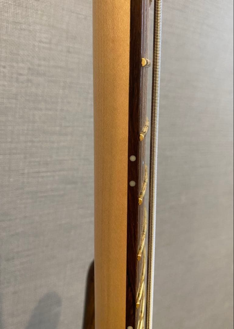 新品同様 Warwick Pro Series Streamer CV4 TS