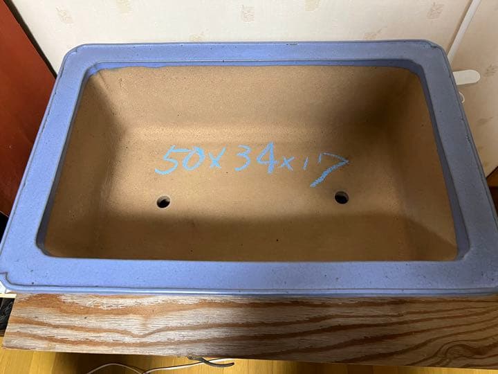 803 盆栽　盆栽鉢　植木鉢　中国鉢