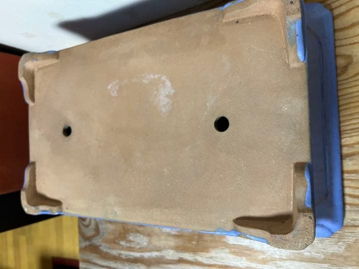 803 盆栽　盆栽鉢　植木鉢　中国鉢