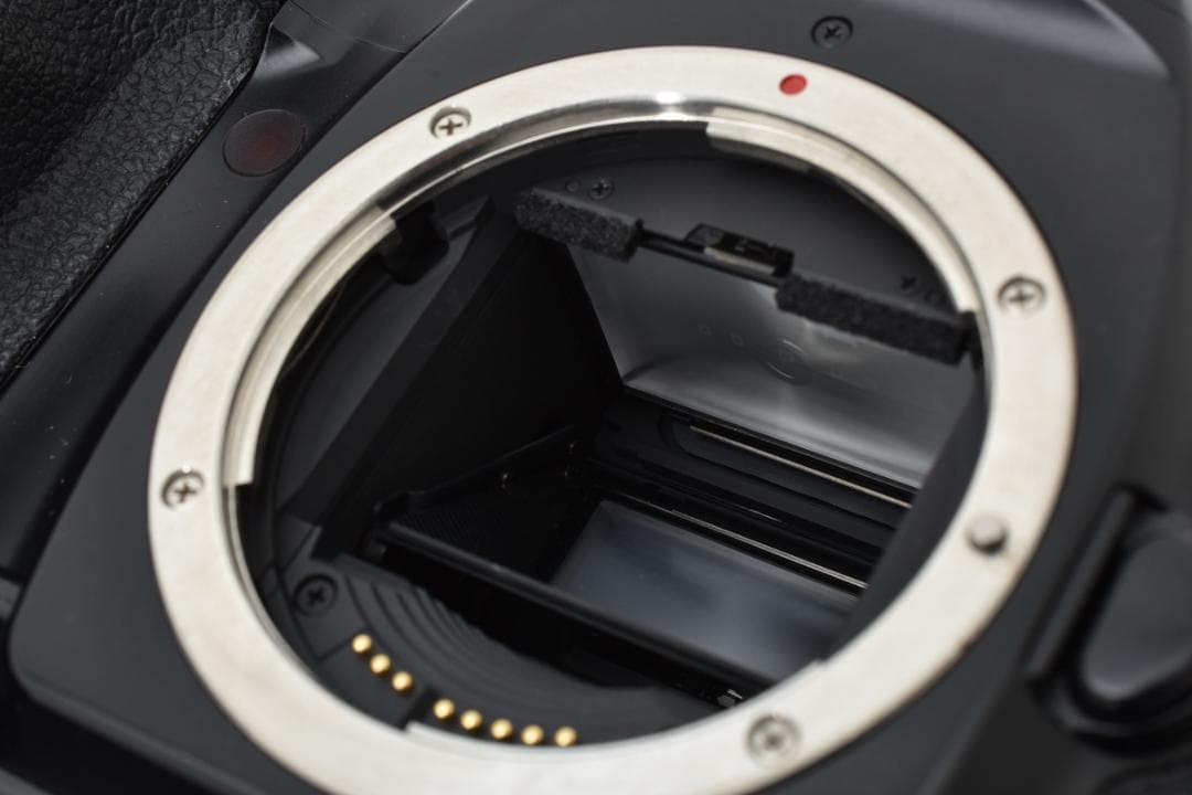 ■ 美品 ■ キャノン Canon EOS-1N ボディ 《完動品》