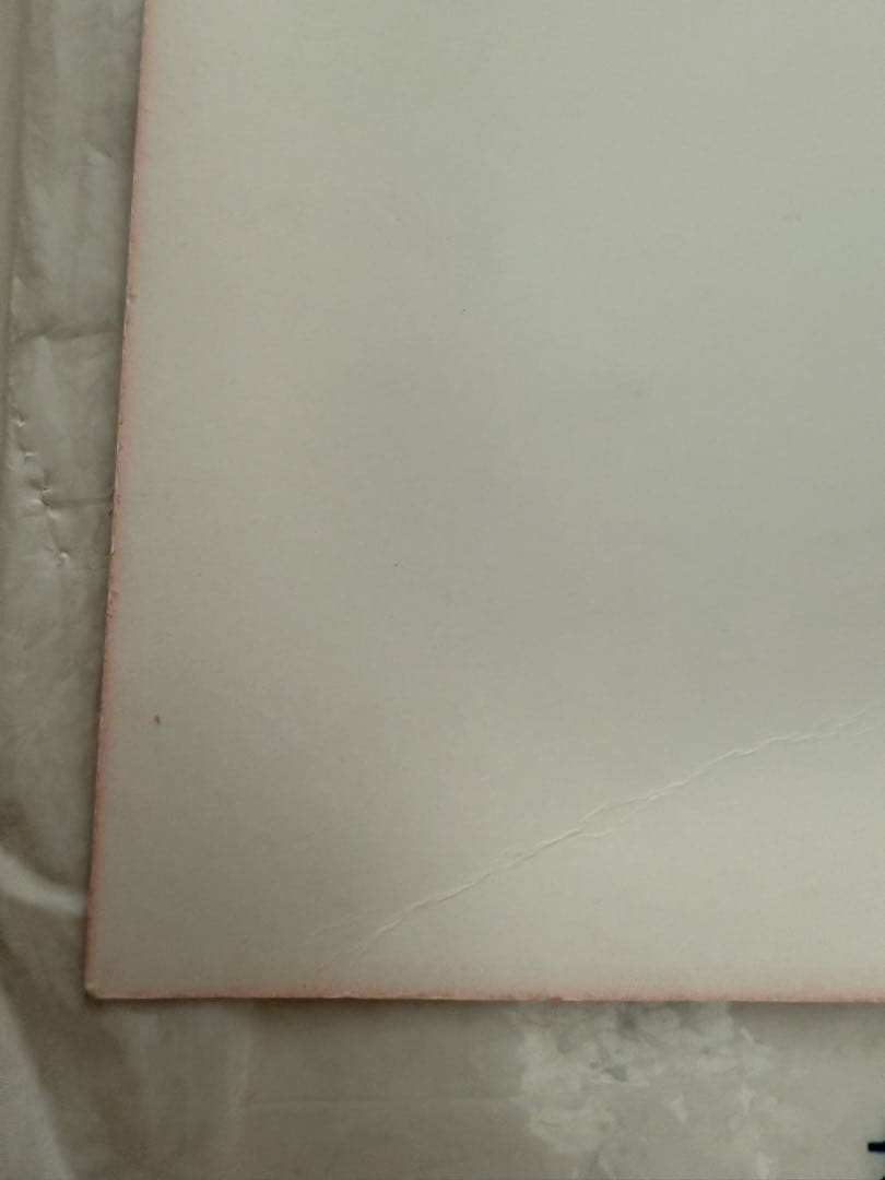 B'z LIVE-GYM 直筆サイン色紙　レア　稲葉浩志　松本孝弘