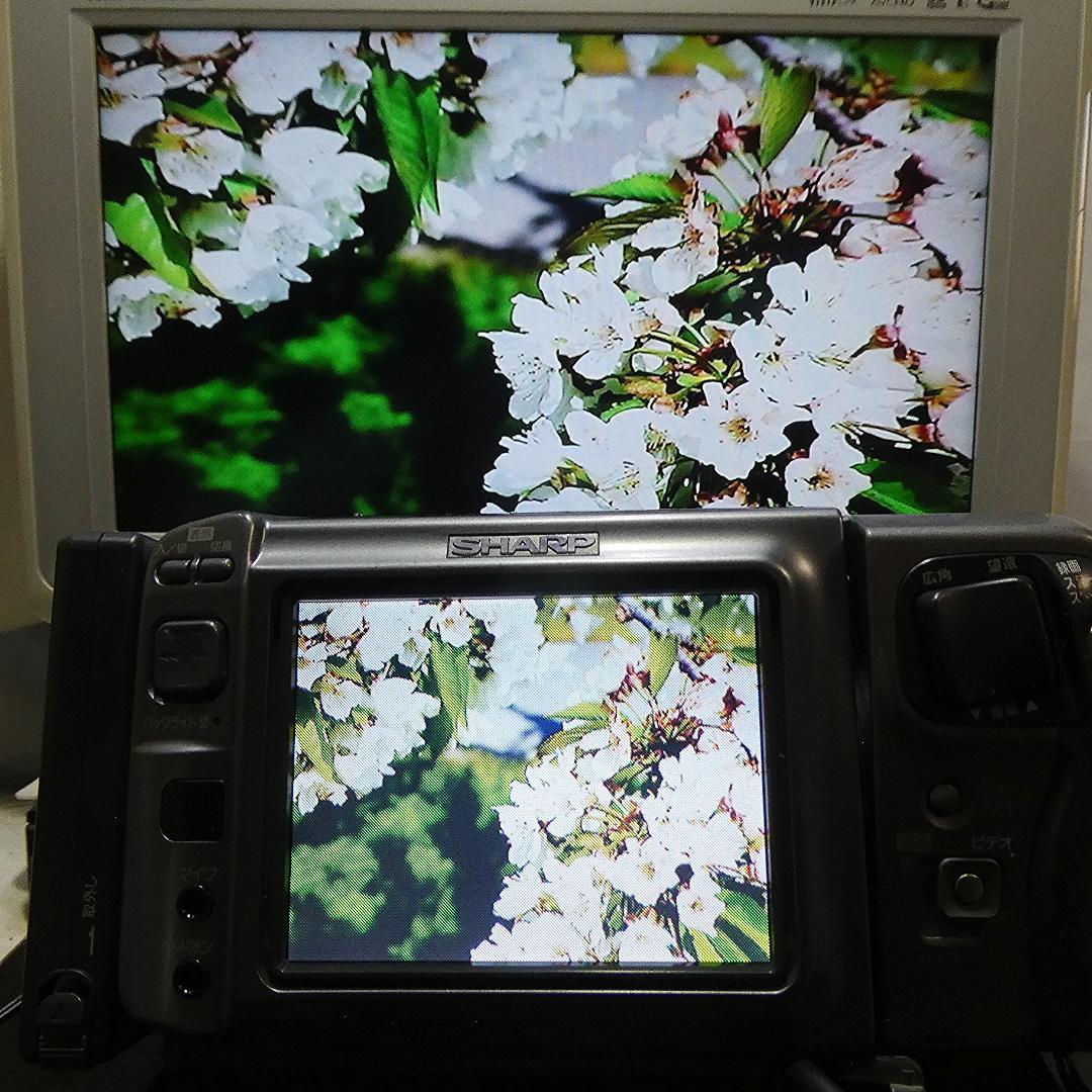 動作良好 シャープ VL-DC1 MiniDV ビデオカメラ DVD化に最適 !