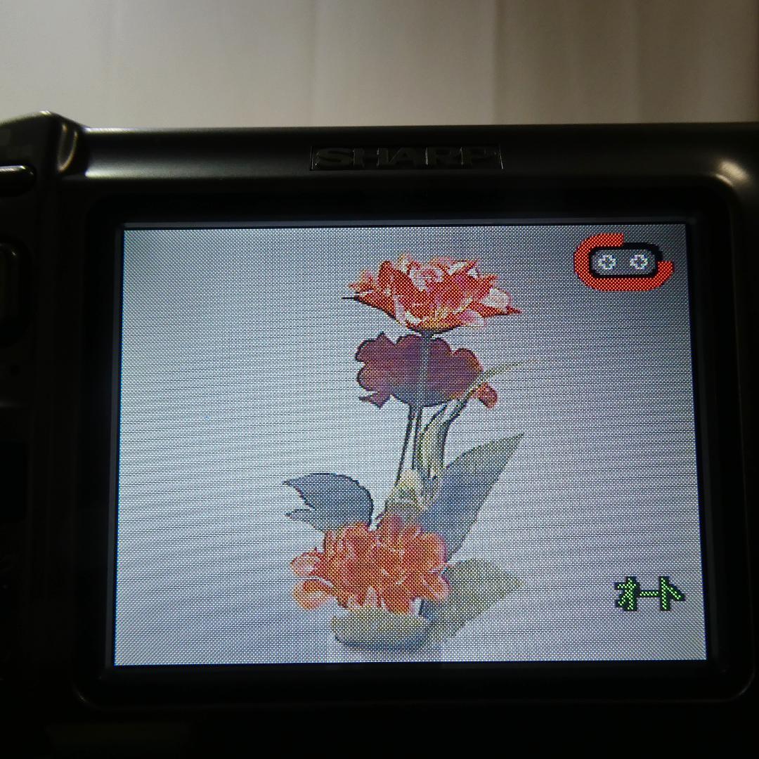 動作良好 シャープ VL-DC1 MiniDV ビデオカメラ DVD化に最適 !