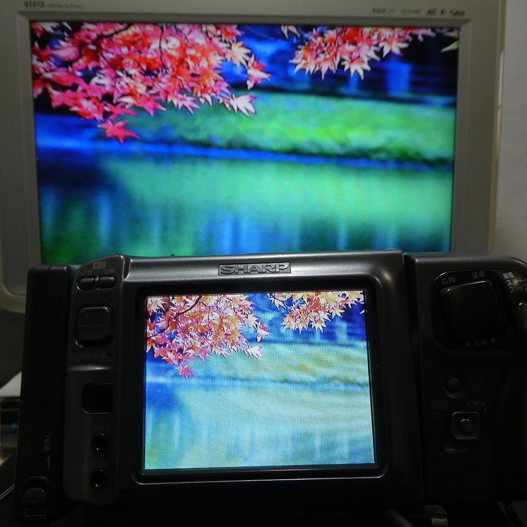 動作良好 シャープ VL-DC1 MiniDV ビデオカメラ DVD化に最適 !