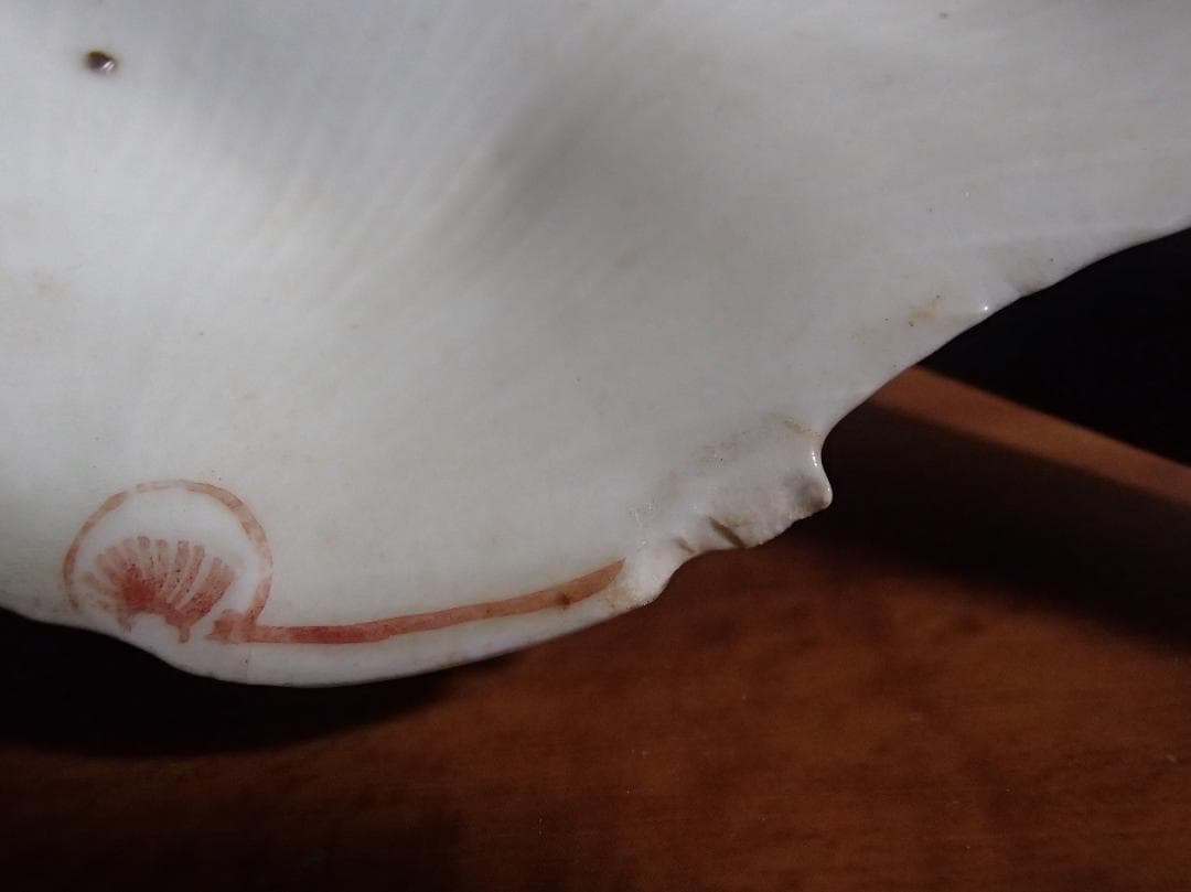 色絵　平貝形　小皿　古九谷　骨董