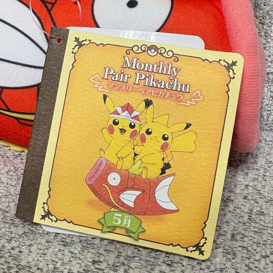 ポケモン マンスリーペアピカチュウ ぬいぐるみ 2016 5月
