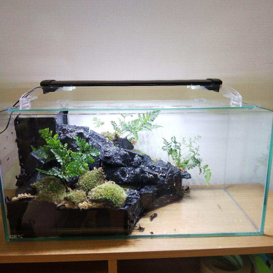 【受注生産】滝の流れるアクアテラリウム　イモリウム　苔　水槽　苔テラリウム