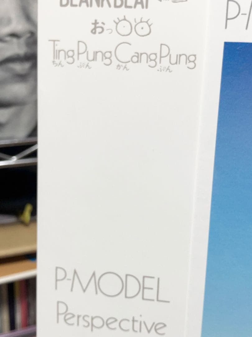 P-MODEL「PERSPECTIVE」超超美品！帯つき完品 初回マト! 平沢進