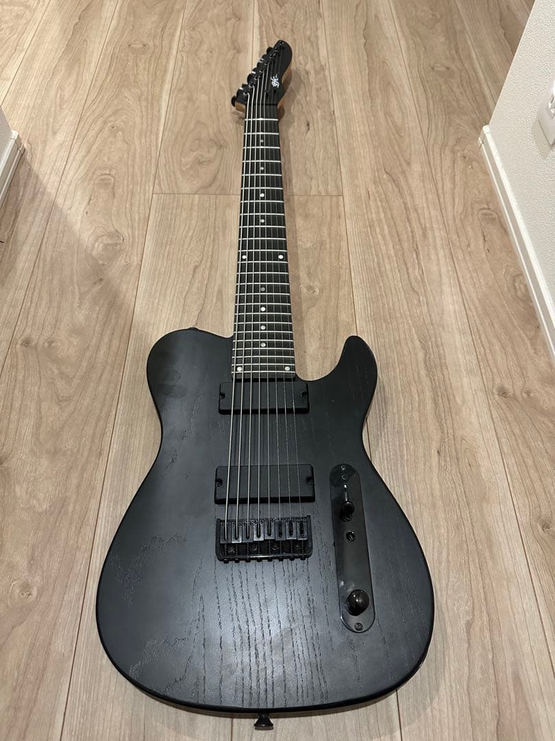 テレボディ　8弦ギター