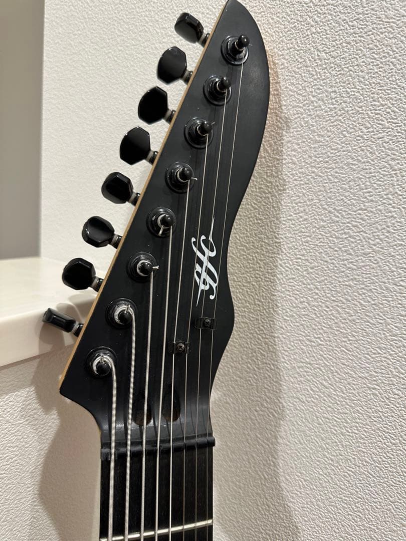 テレボディ　8弦ギター