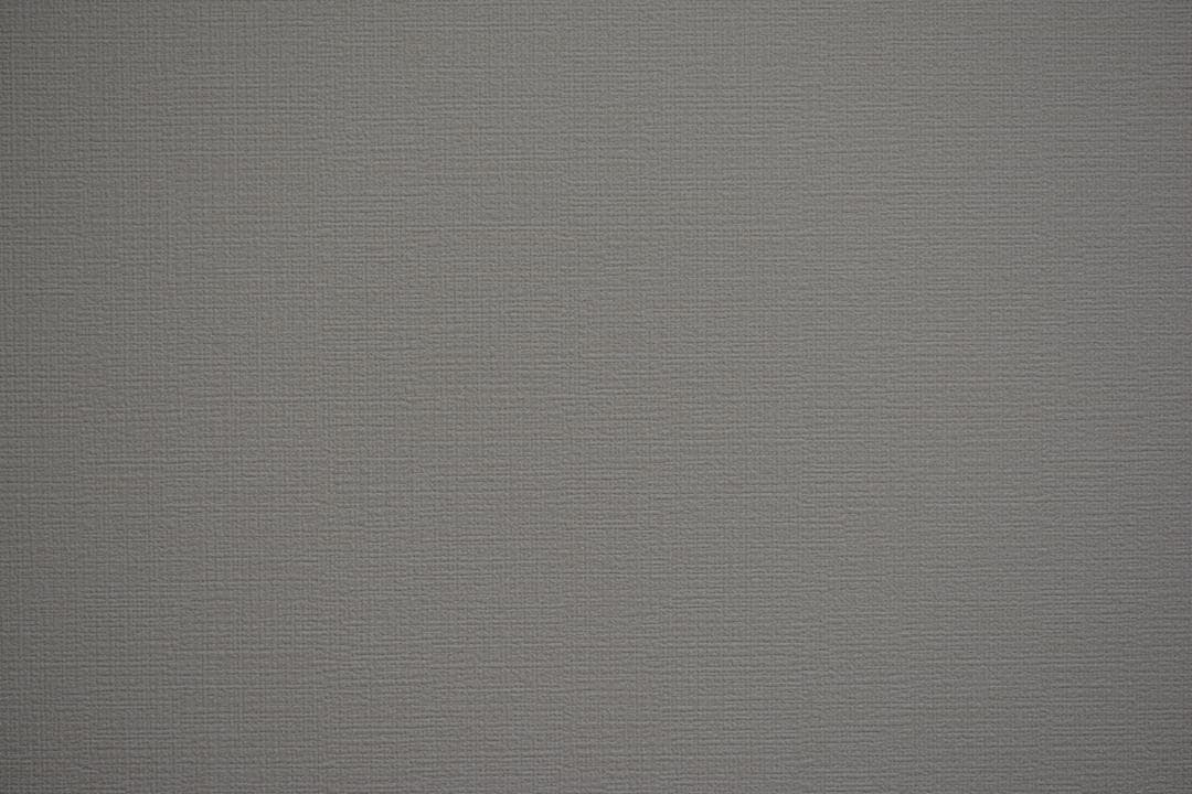 レンズ(ズーム) Nikon AF-S NIKKOR 55-300mm VR