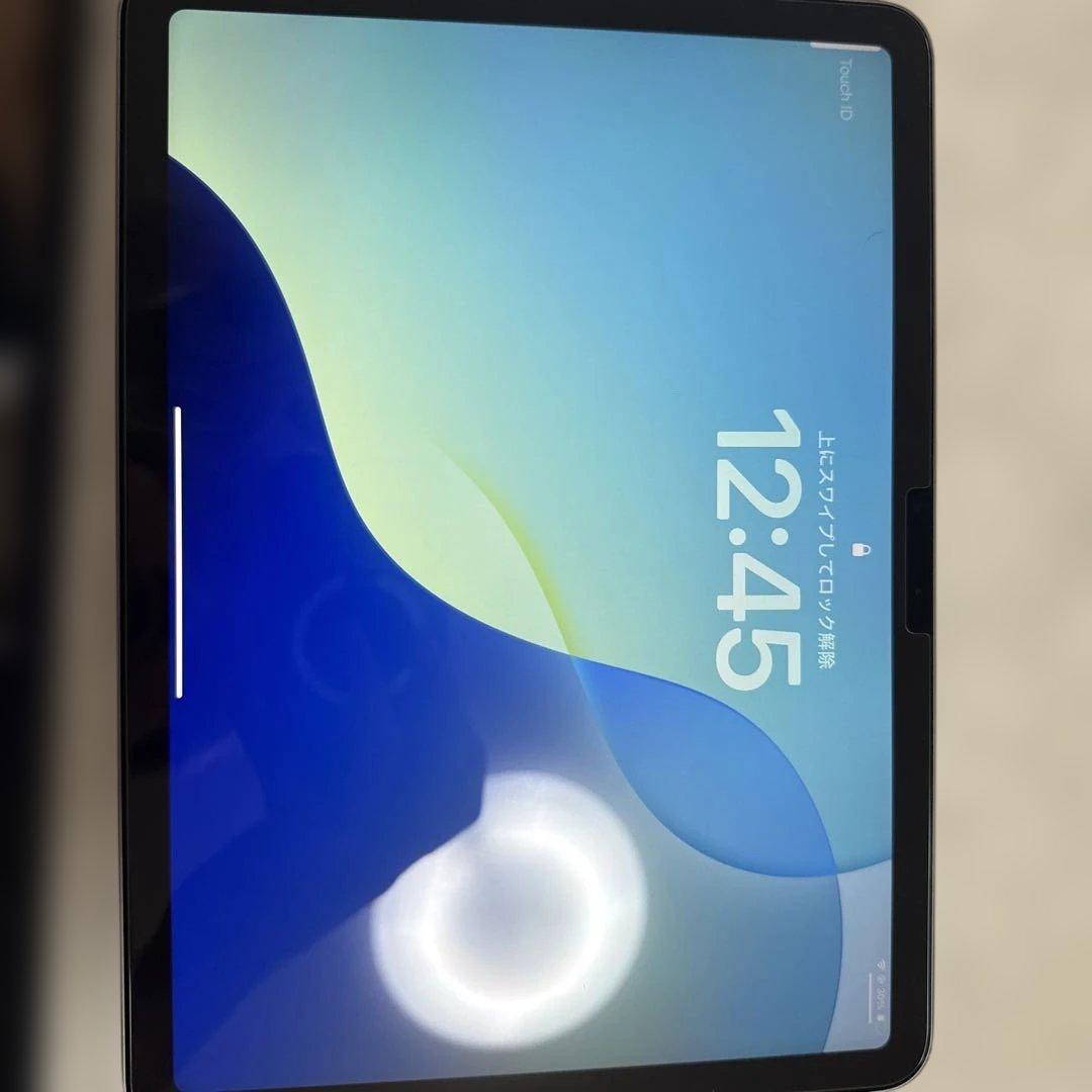 iPad Air M3 11インチ 128GB しばはる