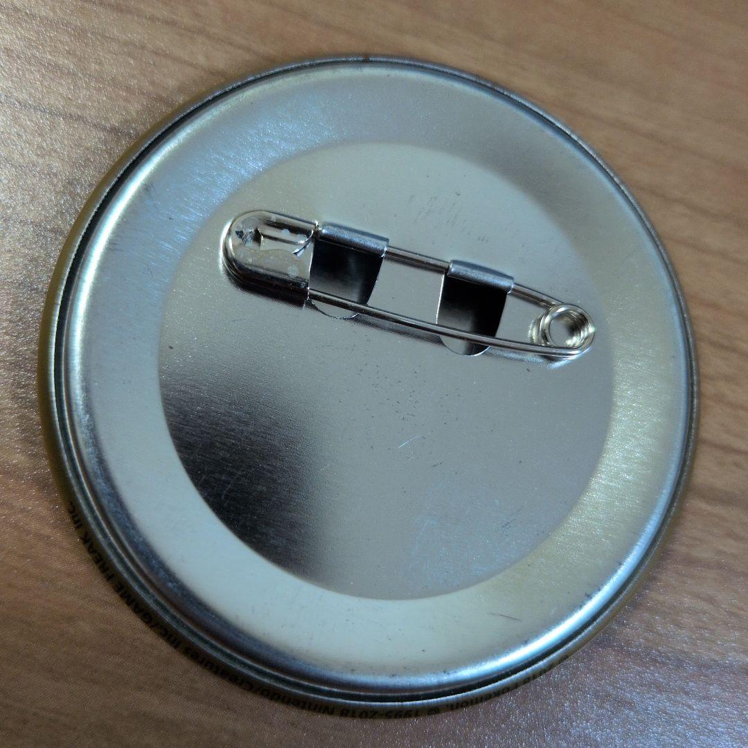 ポケットモンスター トウヤ＆ポカブ 缶バッジコレクション イッシュ地方編