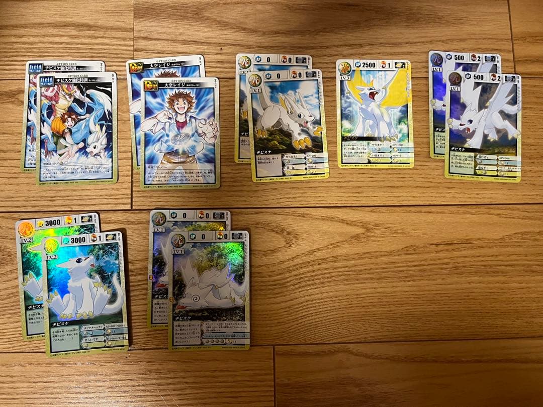 ドラゴンドライブ　カード　チビスケ&大空レイジ　セット　13枚セット