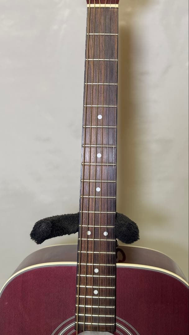 Cort アコースティックギター パープル