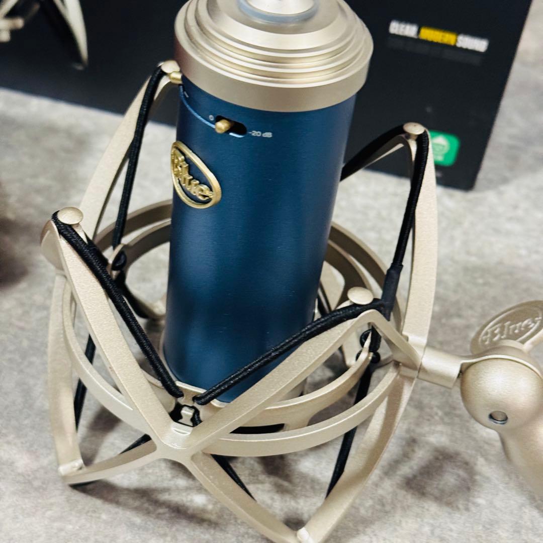Blue Microphones Bluebird SL コンデンサーマイク