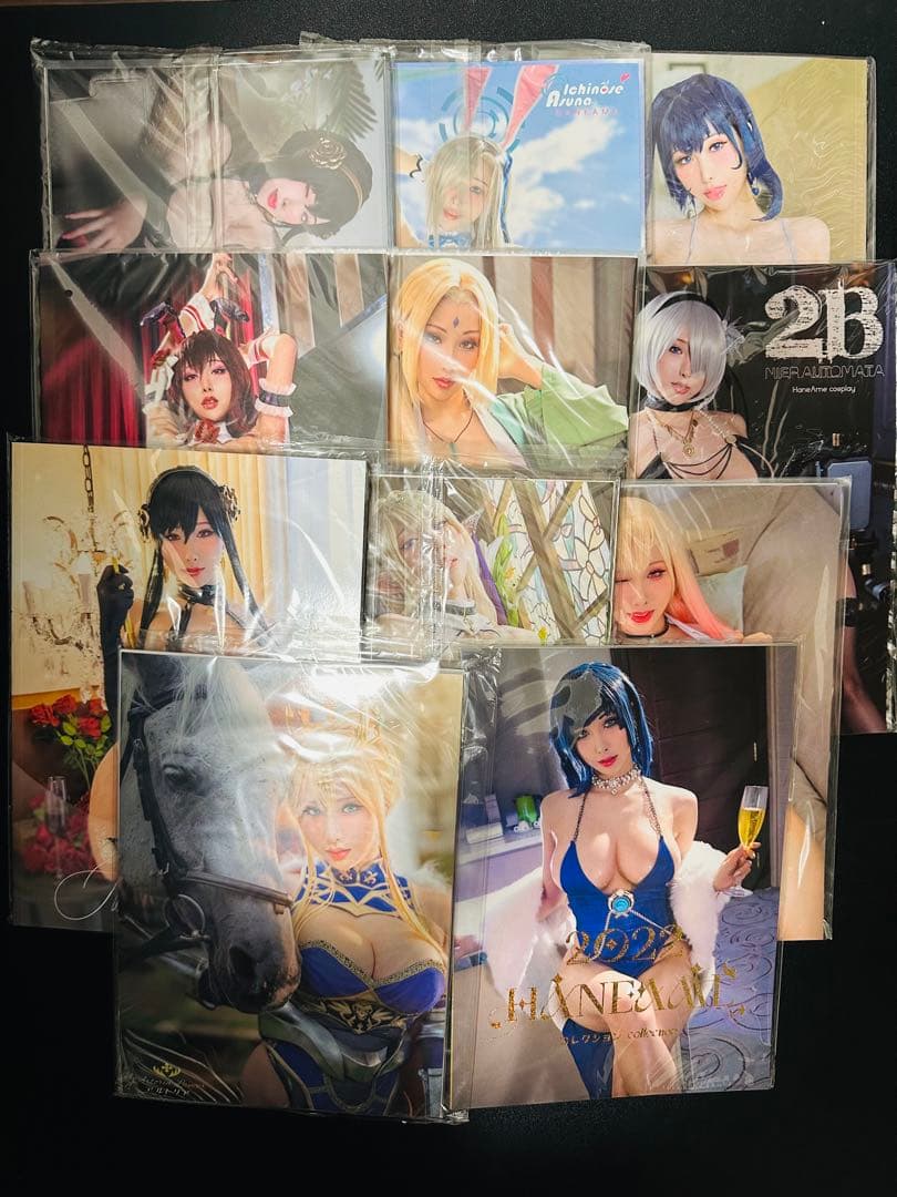 【未開封品】HaneAme 雨波 コスプレ写真集 まとめ売り