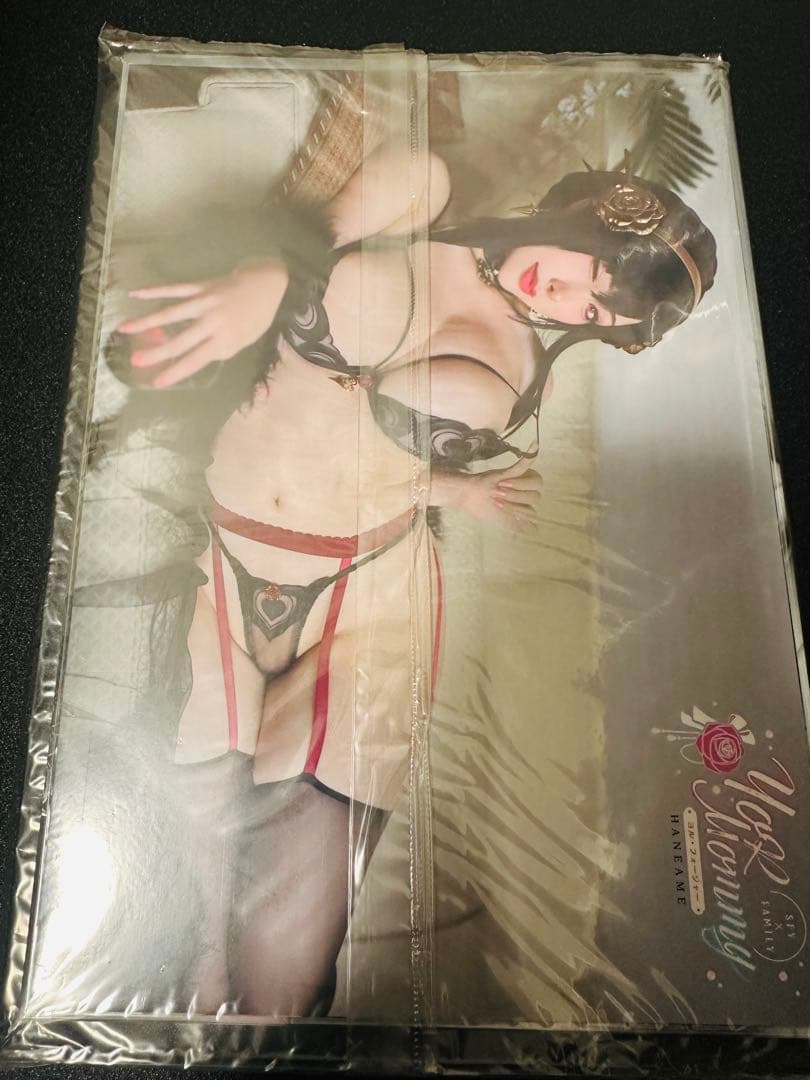 【未開封品】HaneAme 雨波 コスプレ写真集 まとめ売り