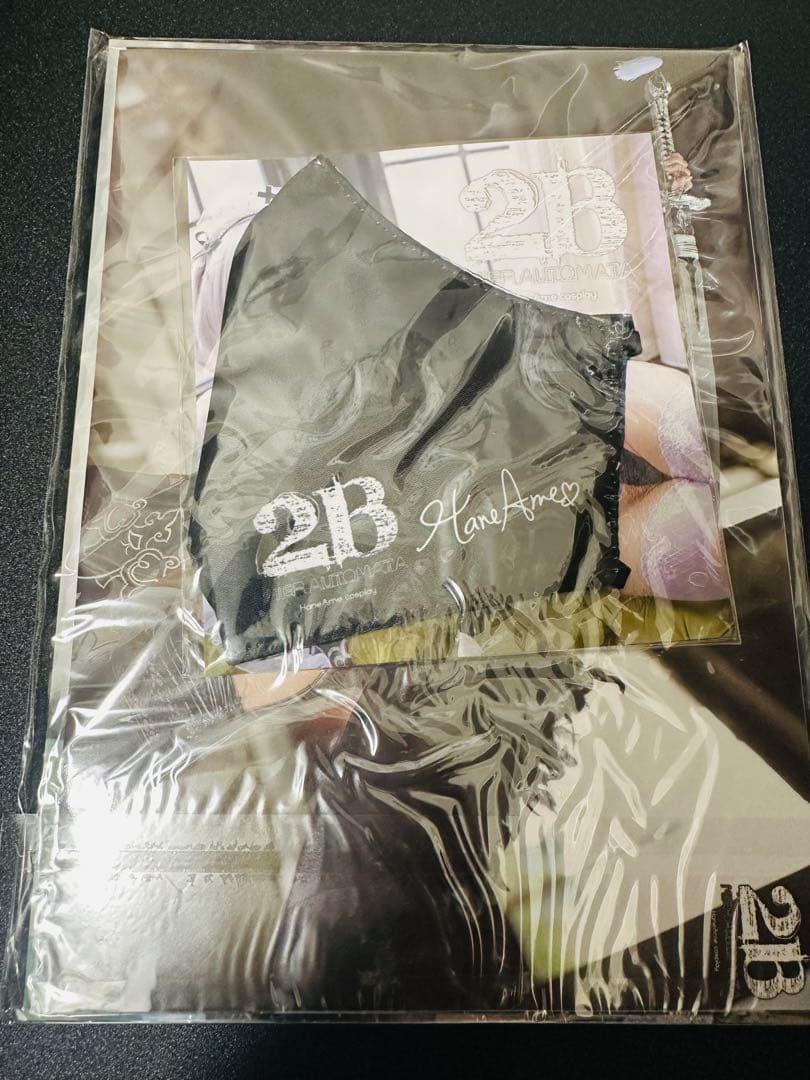 【未開封品】HaneAme 雨波 コスプレ写真集 まとめ売り