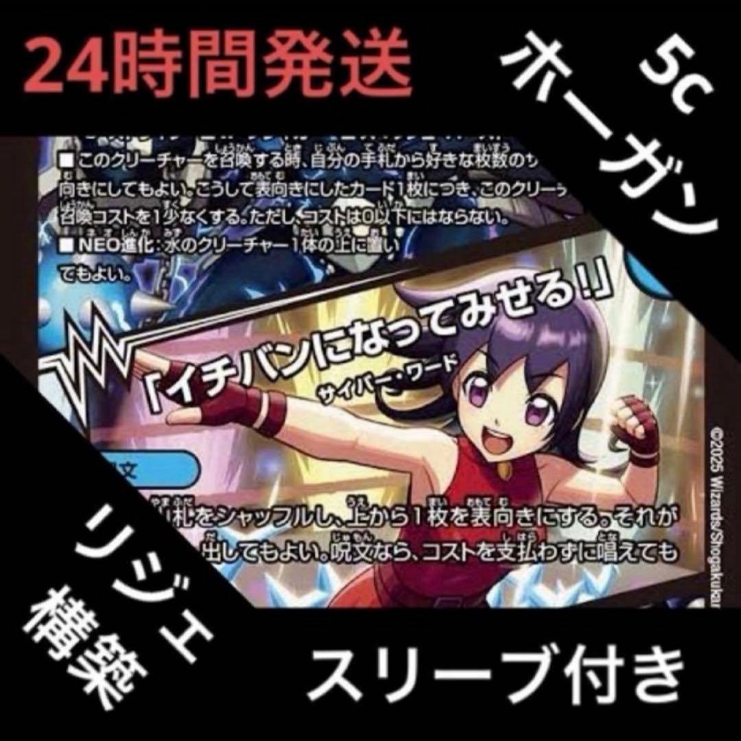 5cホーガン デッキ