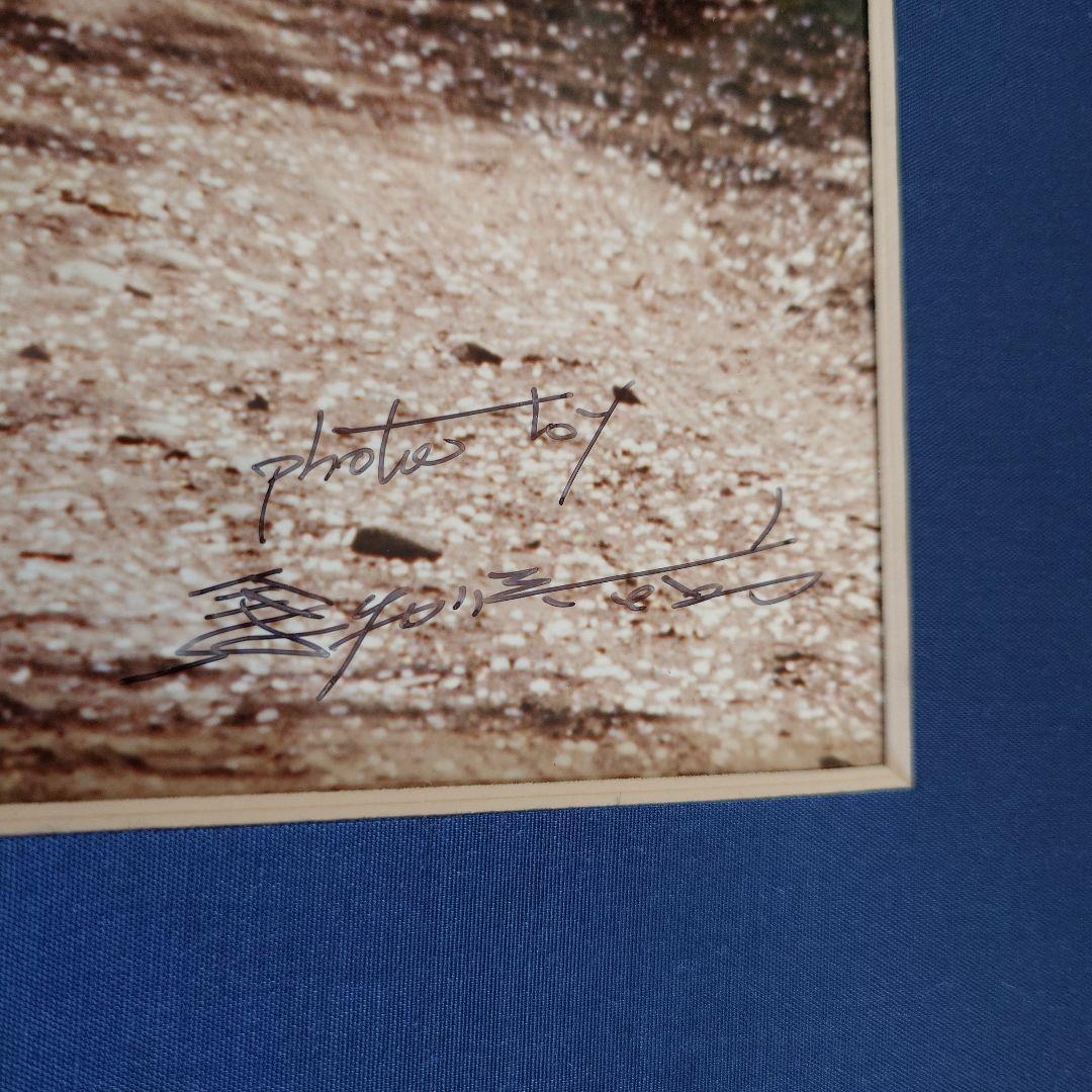 JRA　競馬　馬写真（額入り）　満花