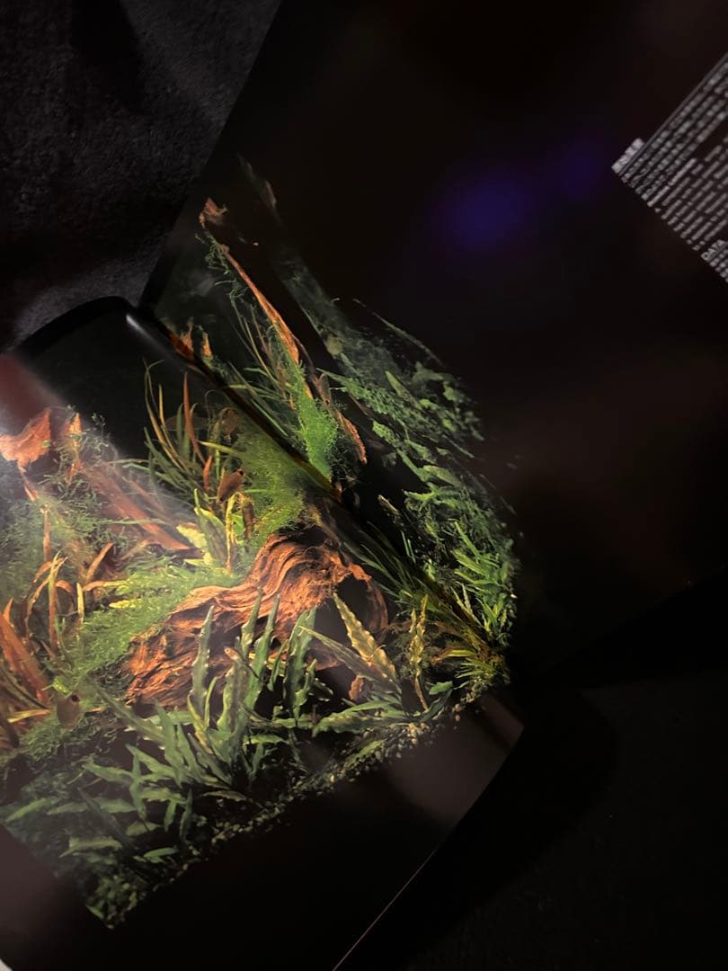 専用　アクアデザインアマノ Nature Aquarium World 作品集