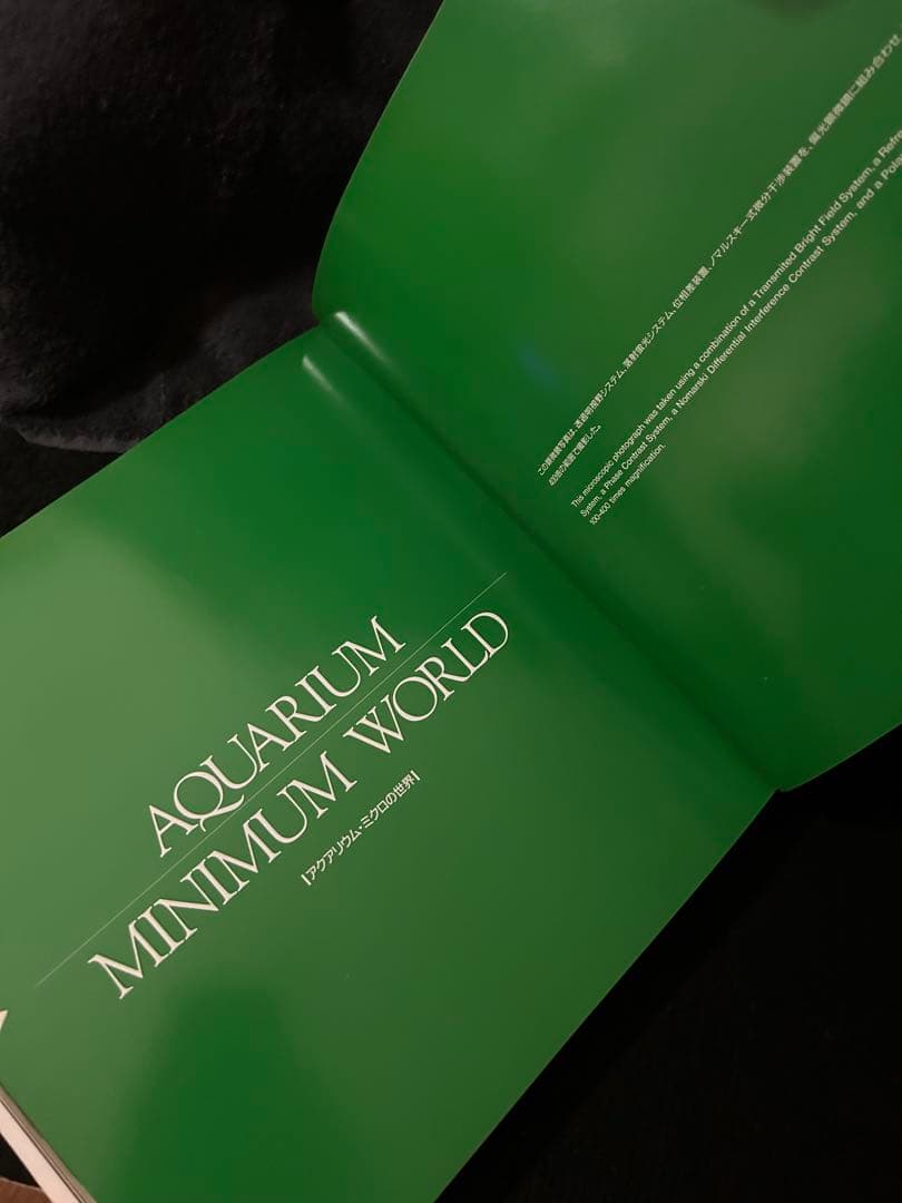 専用　アクアデザインアマノ Nature Aquarium World 作品集