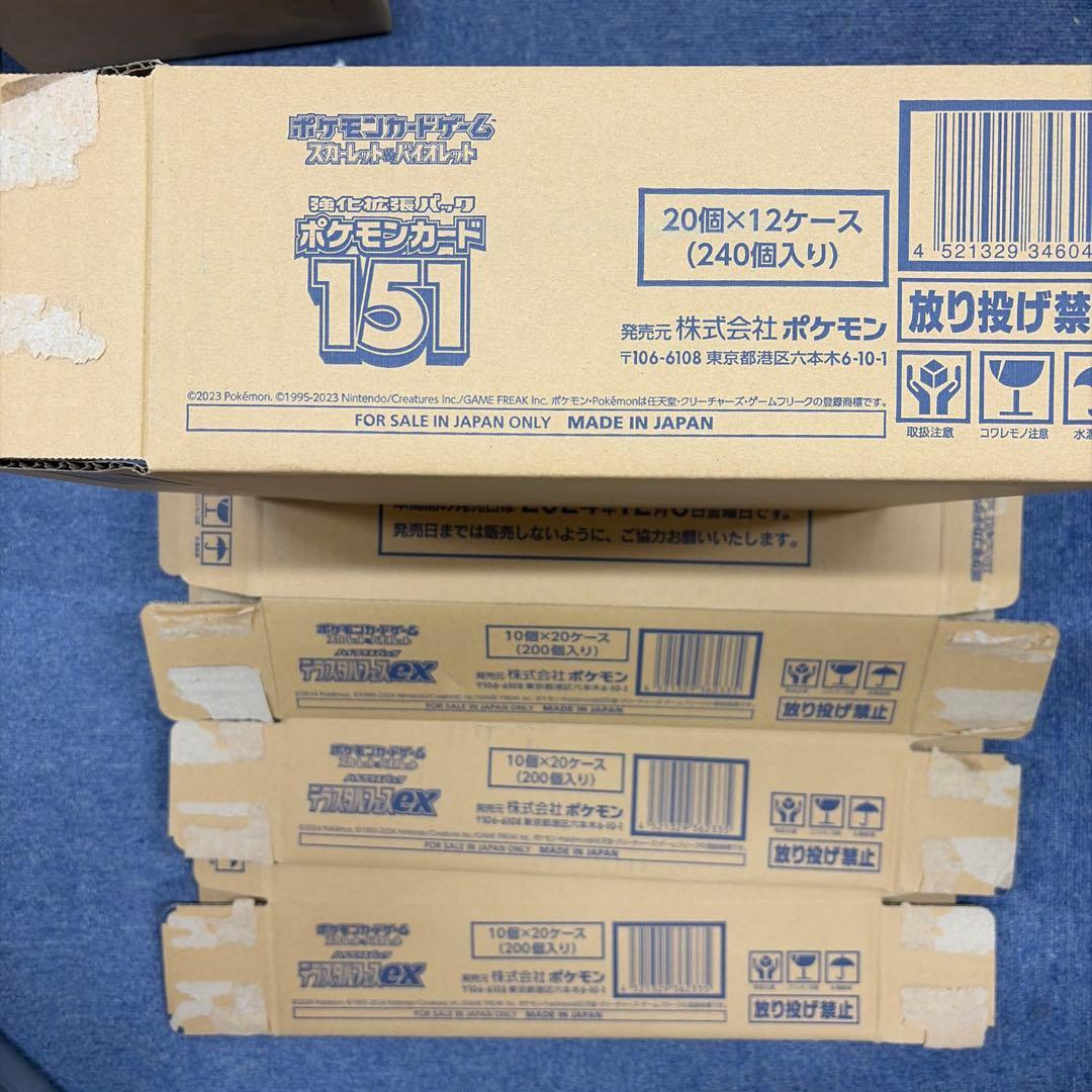 151 テラスタルフェス　カートン　空箱